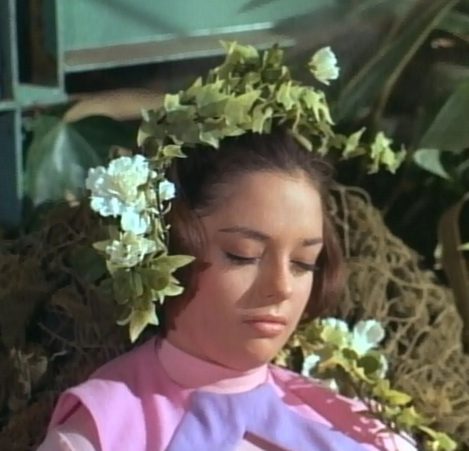 Angela+Cartwright+Pics http://www.imagesbee.com/angela-cartwright/view/angela-cartwright-815-5-6-12-jpg/