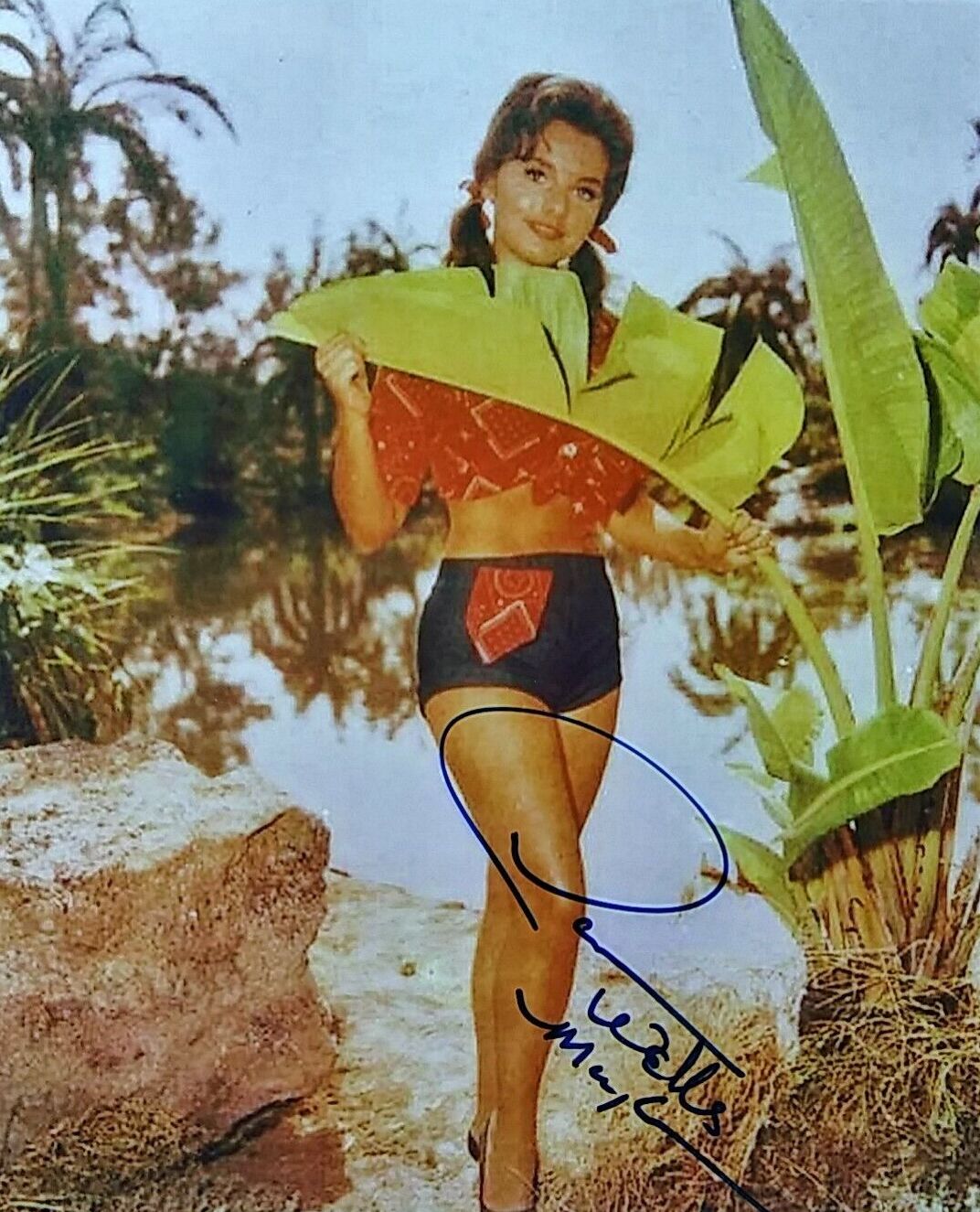 IN MEMORY OF ACTRESS DAWN WELLS