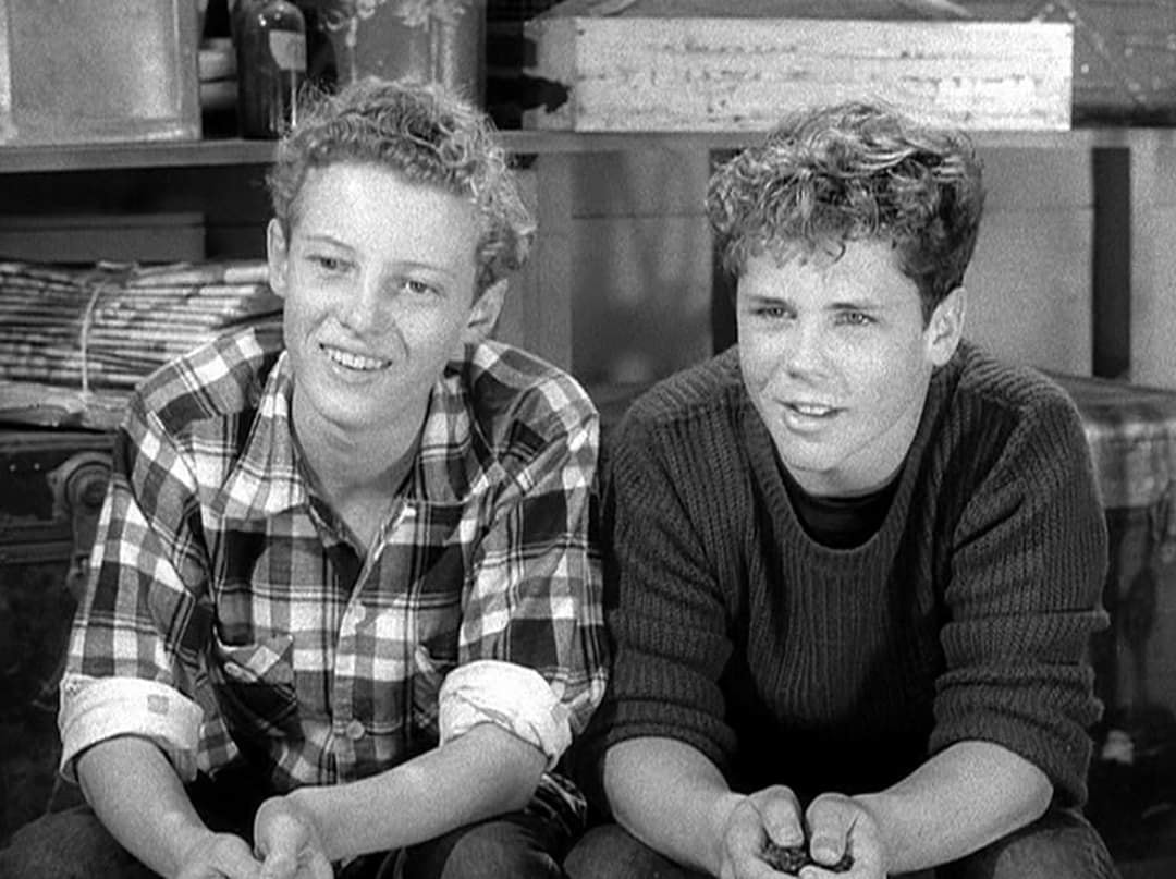 IN MEMORY OF ACTOR KEN OSMOND, image size:1080x807