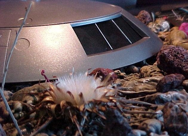 JUPITER-2 ALIEN PLANET DIORAMA