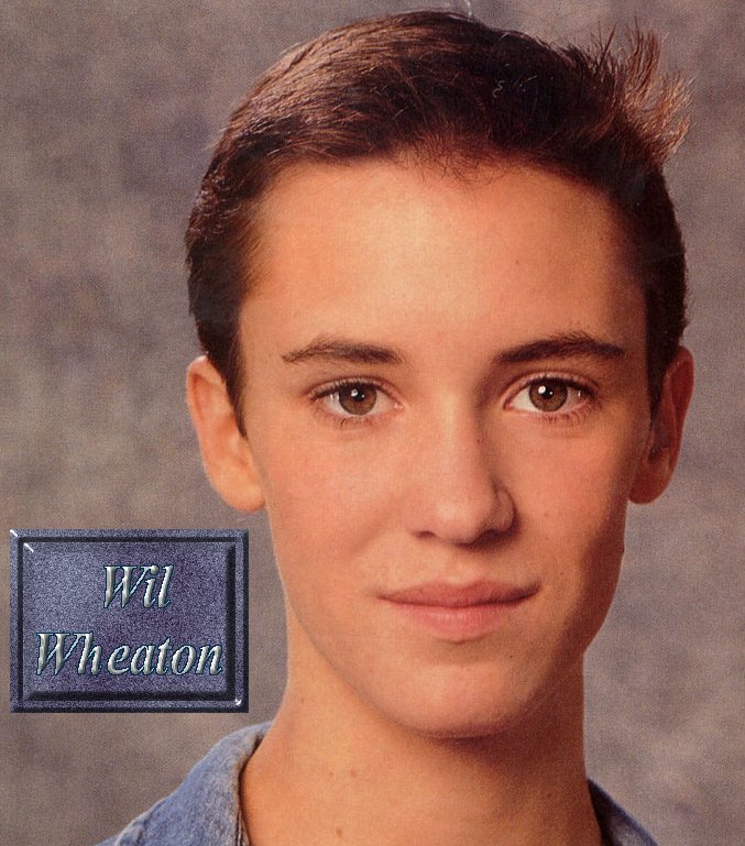 Will Wheaton Will Wheaton